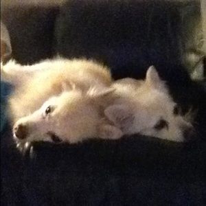 Meet your Posher, Nancy